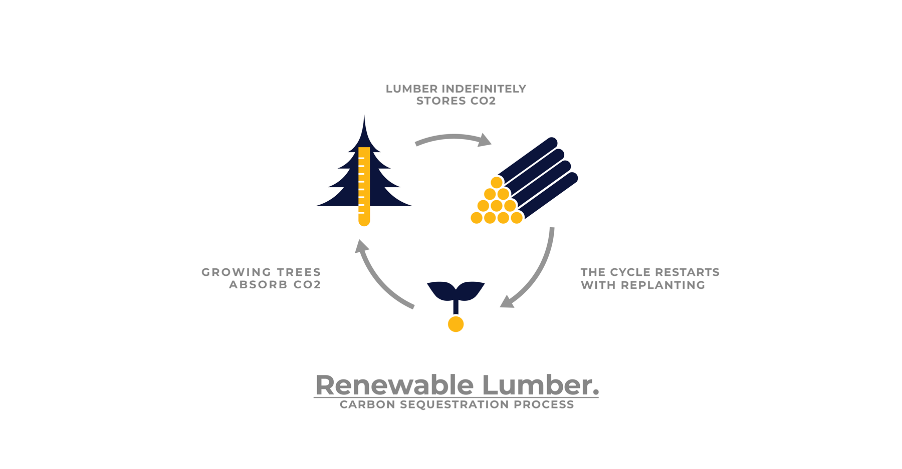 Carbon Sequestration Process Diagram showing how renewable lumber in modern home design benefits environment.